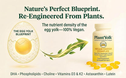 Vegan Omega 3 + D3, Choline, Lutein and Zeaxanthin + astaxanthin + DHA + EPA from Algal Oil - Eye and Brain Support | 120 Capsules