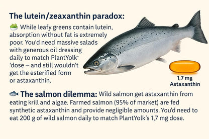 Vegan Omega 3 + D3, Choline, Lutein and Zeaxanthin + astaxanthin + DHA + EPA from Algal Oil - Eye and Brain Support | 120 Capsules