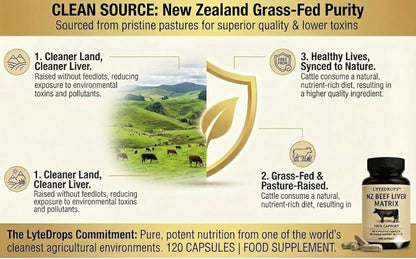 NZ Beef Liver Matrix – Grass Fed Beef Liver Capsules - 1 Capsule Dose (not 4-6) Includes Bio Available B12, and Amplified Ingredients