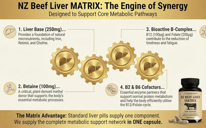 NZ Beef Liver Matrix – Grass Fed Beef Liver Capsules - 1 Capsule Dose (not 4-6) Includes Bio Available B12, and Amplified Ingredients